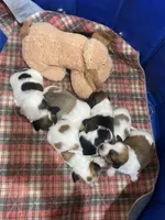 processed/e6f73b01-822f-4c98-aa3d-a846c644653b/facility/350f8851-2f77-4a48-912a-d36ace9af6c5