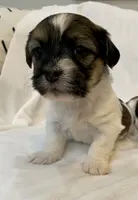 processed/e6f73b01-822f-4c98-aa3d-a846c644653b/facility/65cc6583-198d-4e15-b742-8d39a668e337