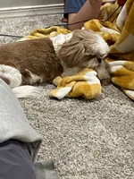 processed/e6f73b01-822f-4c98-aa3d-a846c644653b/facility/a6b644d5-c279-434d-a9f6-4628f1c9aa0f