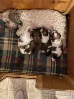 processed/e6f73b01-822f-4c98-aa3d-a846c644653b/facility/aaae6b4e-a0cf-4926-acf0-9281ade3bccb