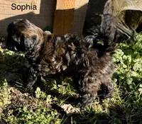 processed/e6f73b01-822f-4c98-aa3d-a846c644653b/listing/17b76fcf-ae91-40cc-9349-6bfe035dae89/19eff64f-2952-40c6-b5e9-78e349216b03