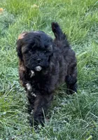 processed/e6f73b01-822f-4c98-aa3d-a846c644653b/listing/17b76fcf-ae91-40cc-9349-6bfe035dae89/2a200b1c-35e2-42d1-940c-a631381e145e