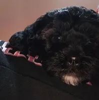 processed/e6f73b01-822f-4c98-aa3d-a846c644653b/listing/17b76fcf-ae91-40cc-9349-6bfe035dae89/3ce5268a-198f-4658-81c5-f810c94a410b