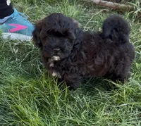 processed/e6f73b01-822f-4c98-aa3d-a846c644653b/listing/17b76fcf-ae91-40cc-9349-6bfe035dae89/63a19b30-ea31-42b0-96db-a8035a3cdb5e