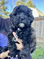 processed/e6f73b01-822f-4c98-aa3d-a846c644653b/listing/17b76fcf-ae91-40cc-9349-6bfe035dae89/8016a7bc-2848-4dfb-b6bf-51437be2ac60