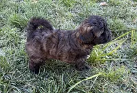 processed/e6f73b01-822f-4c98-aa3d-a846c644653b/listing/17b76fcf-ae91-40cc-9349-6bfe035dae89/808aed23-f19f-41df-abeb-c4795d824c14