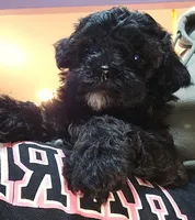 processed/e6f73b01-822f-4c98-aa3d-a846c644653b/listing/17b76fcf-ae91-40cc-9349-6bfe035dae89/af851fb1-e820-474f-a6cd-218e21687db1