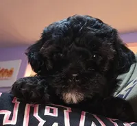 processed/e6f73b01-822f-4c98-aa3d-a846c644653b/listing/17b76fcf-ae91-40cc-9349-6bfe035dae89/c9bb2975-592b-4bab-97b8-63cbeaae3356