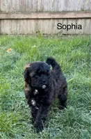 processed/e6f73b01-822f-4c98-aa3d-a846c644653b/listing/17b76fcf-ae91-40cc-9349-6bfe035dae89/fe976151-6788-4091-84ff-27d9d148600c