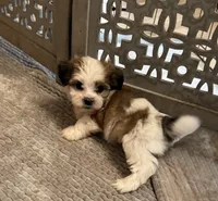 processed/e6f73b01-822f-4c98-aa3d-a846c644653b/listing/19dd13d5-e184-459d-9491-10300ccd7b45/1eec301e-a92d-4a8a-9723-de0cd6cb64b0