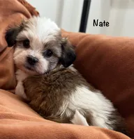 processed/e6f73b01-822f-4c98-aa3d-a846c644653b/listing/19dd13d5-e184-459d-9491-10300ccd7b45/56f8470a-3b29-43c4-90de-bd816eb1b591