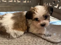 processed/e6f73b01-822f-4c98-aa3d-a846c644653b/listing/19dd13d5-e184-459d-9491-10300ccd7b45/70740102-4ef1-4780-a8ff-ac59843f10a3