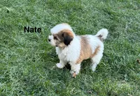 processed/e6f73b01-822f-4c98-aa3d-a846c644653b/listing/19dd13d5-e184-459d-9491-10300ccd7b45/792bc09e-ff75-4762-bc58-82f6ce32ee64