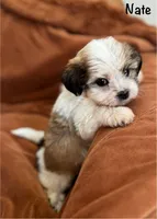 processed/e6f73b01-822f-4c98-aa3d-a846c644653b/listing/19dd13d5-e184-459d-9491-10300ccd7b45/7b411b16-d2d2-4d08-baac-3966bed24d1a