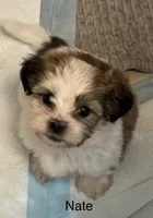 processed/e6f73b01-822f-4c98-aa3d-a846c644653b/listing/19dd13d5-e184-459d-9491-10300ccd7b45/b2f841f4-59e8-484a-a091-c286385572c2