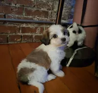 processed/e6f73b01-822f-4c98-aa3d-a846c644653b/listing/19dd13d5-e184-459d-9491-10300ccd7b45/ed947f77-d3de-41c5-80e2-d26a249c4442