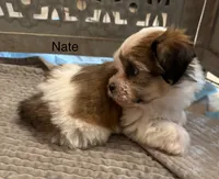 processed/e6f73b01-822f-4c98-aa3d-a846c644653b/listing/19dd13d5-e184-459d-9491-10300ccd7b45/f6a7b7f9-2e4d-46e9-9b0a-ef37985ad4ea