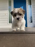 processed/e6f73b01-822f-4c98-aa3d-a846c644653b/listing/214a83ff-f268-4061-8adb-feba30559258/95f38ff7-5407-42a9-96eb-da629d00a605