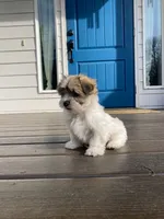 processed/e6f73b01-822f-4c98-aa3d-a846c644653b/listing/214a83ff-f268-4061-8adb-feba30559258/b205d8e5-50a4-4908-8b8e-a5c1141aeddc