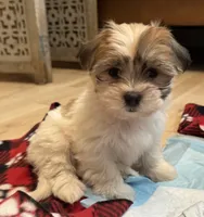 processed/e6f73b01-822f-4c98-aa3d-a846c644653b/listing/214a83ff-f268-4061-8adb-feba30559258/c82d4a14-5c7a-4560-9637-deeb725d50b3