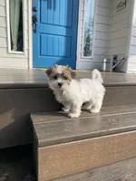 processed/e6f73b01-822f-4c98-aa3d-a846c644653b/listing/214a83ff-f268-4061-8adb-feba30559258/e902f0cf-7bb9-4ec8-81fd-82ae48206f8b