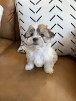 processed/e6f73b01-822f-4c98-aa3d-a846c644653b/listing/214a83ff-f268-4061-8adb-feba30559258/eeb703bd-4370-4def-98a9-352d6b0923ba