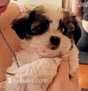 processed/e6f73b01-822f-4c98-aa3d-a846c644653b/listing/30207aed-9090-4c5b-bcdf-abdd550fce30/897340cf-e7dc-41ca-ab1b-21f698b95431