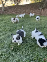 processed/e6f73b01-822f-4c98-aa3d-a846c644653b/listing/30207aed-9090-4c5b-bcdf-abdd550fce30/eb038604-7fbf-4173-b0cb-17b35f3e82bd