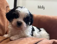 processed/e6f73b01-822f-4c98-aa3d-a846c644653b/listing/9760f141-4eea-464f-ae7a-e42d90206ea6/06a90116-5721-4366-b23b-6b420369cede