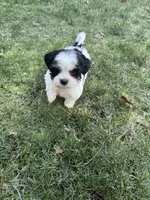 processed/e6f73b01-822f-4c98-aa3d-a846c644653b/listing/9760f141-4eea-464f-ae7a-e42d90206ea6/1557920b-49a3-4e9e-ab2e-09875753b006