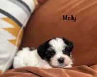 processed/e6f73b01-822f-4c98-aa3d-a846c644653b/listing/9760f141-4eea-464f-ae7a-e42d90206ea6/26fd0f57-d2a3-4eb8-82f8-0553870c6e78