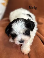 processed/e6f73b01-822f-4c98-aa3d-a846c644653b/listing/9760f141-4eea-464f-ae7a-e42d90206ea6/292dd229-cc0b-4cec-a647-2abf58fd7e70