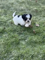 processed/e6f73b01-822f-4c98-aa3d-a846c644653b/listing/9760f141-4eea-464f-ae7a-e42d90206ea6/a8a0a677-9f77-42a8-a84d-fdeeda639b7a