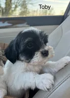 processed/e6f73b01-822f-4c98-aa3d-a846c644653b/listing/dd362198-0102-4050-9f33-03f51500ed83/09e5e182-e0d0-4705-b56a-06fa2bcdec65