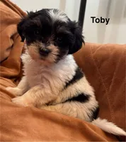 processed/e6f73b01-822f-4c98-aa3d-a846c644653b/listing/dd362198-0102-4050-9f33-03f51500ed83/4b64f4bc-677f-422d-87c7-52253317a50f