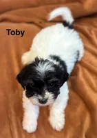 processed/e6f73b01-822f-4c98-aa3d-a846c644653b/listing/dd362198-0102-4050-9f33-03f51500ed83/57f2d96c-6dea-4e77-a4fd-a912d29156ab