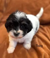 processed/e6f73b01-822f-4c98-aa3d-a846c644653b/listing/dd362198-0102-4050-9f33-03f51500ed83/7f067f69-0ad8-4f96-a170-5f699710fee9