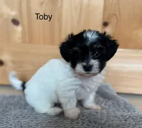 processed/e6f73b01-822f-4c98-aa3d-a846c644653b/listing/dd362198-0102-4050-9f33-03f51500ed83/a8e40ba7-bd4f-4c19-8e75-74a869ebc0f0