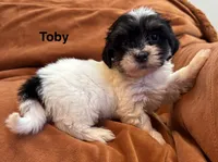 processed/e6f73b01-822f-4c98-aa3d-a846c644653b/listing/dd362198-0102-4050-9f33-03f51500ed83/c4f2f768-4493-40a3-a31f-ab03f932bbd5