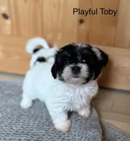 processed/e6f73b01-822f-4c98-aa3d-a846c644653b/listing/dd362198-0102-4050-9f33-03f51500ed83/d7cd371c-d4e2-4649-b7de-8fe0474308e3