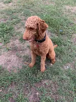 processed/e6fca484-8abb-463b-b79a-3a016be96042/facility/e655f82d-43b1-4422-9383-a361d2e6f258