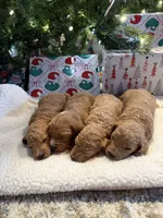 processed/e6fca484-8abb-463b-b79a-3a016be96042/listing/20557626-46c1-41cb-b712-6dae8192ef70/537e042a-3f14-45e3-a47a-c65ce4403565