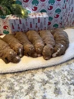 processed/e6fca484-8abb-463b-b79a-3a016be96042/listing/c4f5ef2d-6cd2-487d-a5b9-d1b231199193/9017c123-b83b-4109-beef-60578570ccb9