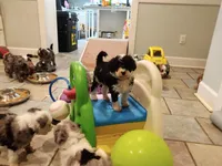 processed/e6fd6f2e-47f6-4552-a55b-9bd737a75f4f/facility/1397e03a-453b-47df-90e3-f65de2b72a07