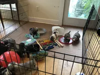 processed/e6fd6f2e-47f6-4552-a55b-9bd737a75f4f/facility/19447b93-0a78-4a01-b2a3-795693a796fc