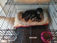 processed/e6fd6f2e-47f6-4552-a55b-9bd737a75f4f/facility/aba3c432-9518-4ff2-a87b-88d74a5fdbaf