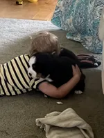 processed/e6fd6f2e-47f6-4552-a55b-9bd737a75f4f/facility/fc143540-81cd-4cfa-bd86-aca91c85b1a5