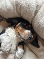 processed/e6fdc11d-7cae-41e7-b7f0-f6db87cb93e3/listing/db37058f-4bf2-4a68-a3e5-3b171e373c5d/6f7122ad-5dd2-417e-8fd4-560909cd4e4f