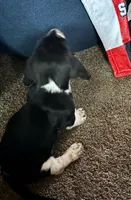 processed/e6fdc11d-7cae-41e7-b7f0-f6db87cb93e3/listing/db37058f-4bf2-4a68-a3e5-3b171e373c5d/ac6a0418-f2cf-4c8c-b51d-f35b24fe6f34