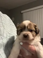 processed/e700e417-4617-4857-9292-727b02f92aa7/listing/057d0fd1-75d9-49d8-bd5a-dc7cfa62d0e4/215ad96a-0594-487d-996b-1dc625f00926